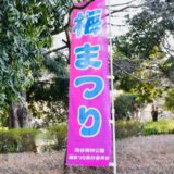 【オシャレブロガーの越谷さんぽ】 2019年 最新、越谷梅林公園の『梅祭り』の様子をお届けします