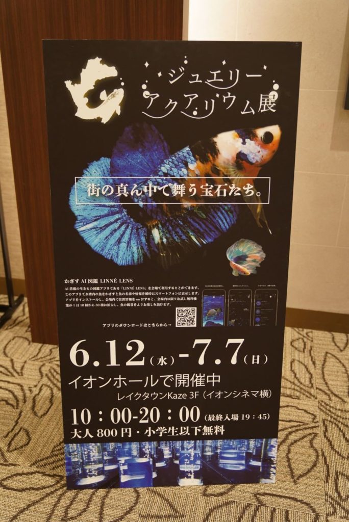 越谷イオンレイクタウンで日本初カフェ型水族館 ジュエリーアクアリウム展 開催 Koshigayazine